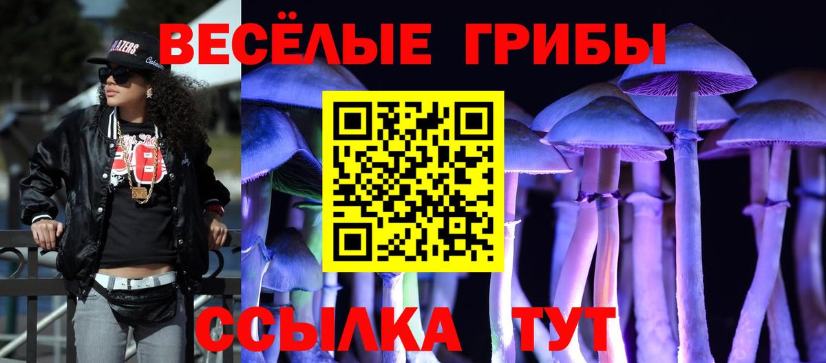 Артёмовский  Галлюциногенные грибы Psilocybe  Вход с VPN 